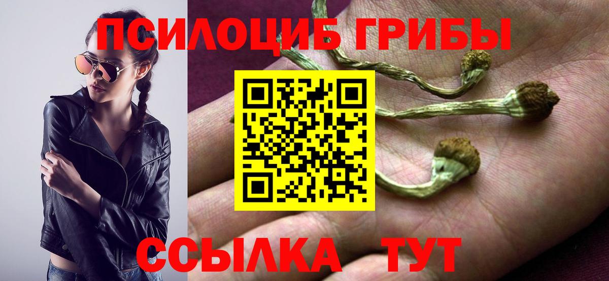 Галлюциногенные грибы GOLDEN TEACHER Горячий Ключ